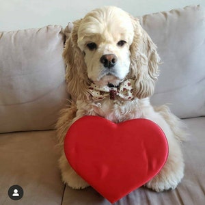 Welpe Love Hunde fliege - Welpe Love Katzen fliege - Süße Hunde fliege - Süße Katzenschleife