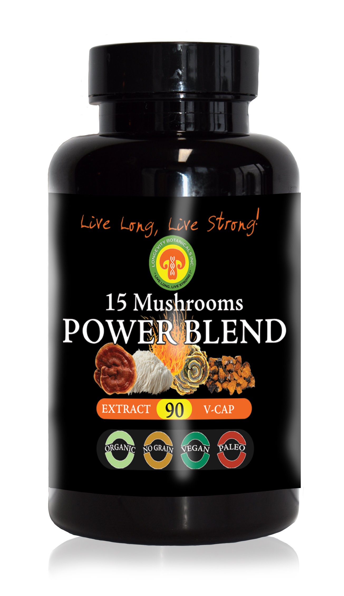 Organic 15 MUSHROOM POWER BLEND Powder Extract 100g The Power Etsy