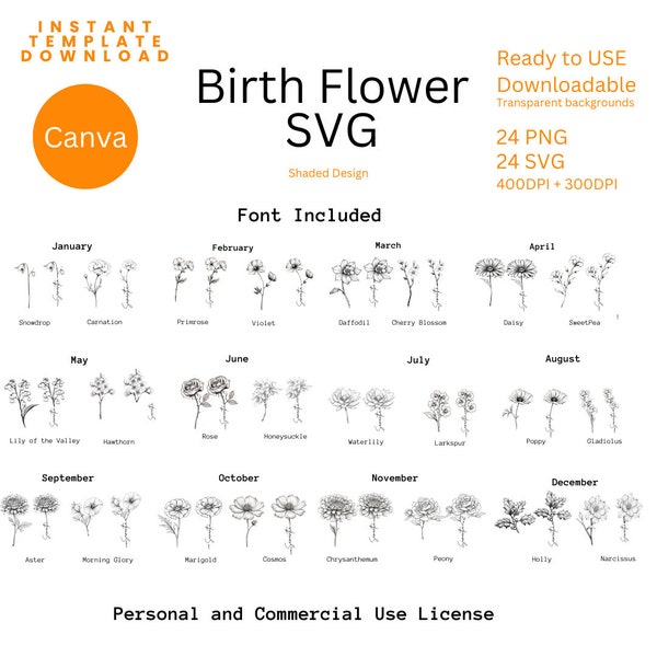 Birth Month svg | Birth month | Birth Flower Svg| Floral Svg | Botanical Svg | Rose Svg | Daisy Svg| Poppy Svg | Birthday Svg | Svg