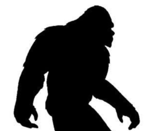 Pack of 3 Bigfoot Stencils,Made from 4 Ply Mat Board 16x20, 11x14 and 8x10 -Package includes One of Each Size