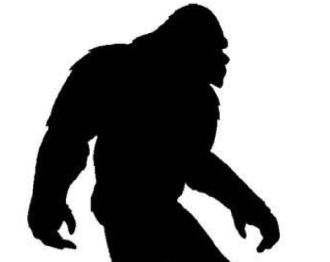 Pack of 3 Bigfoot Stencils Made from 4 Ply Mat Board, 18x24, 16x20 and 11x14 -Package includes One of Each Size