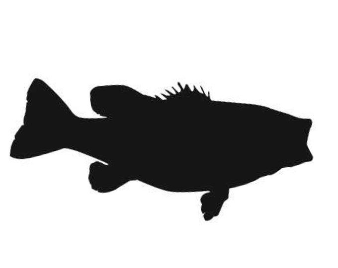 Pack of 3 Largemouth Bass Stencils Made from 4 Ply Mat Board, 5x7, 4x6 and 3x5 -Package includes One of Each Size