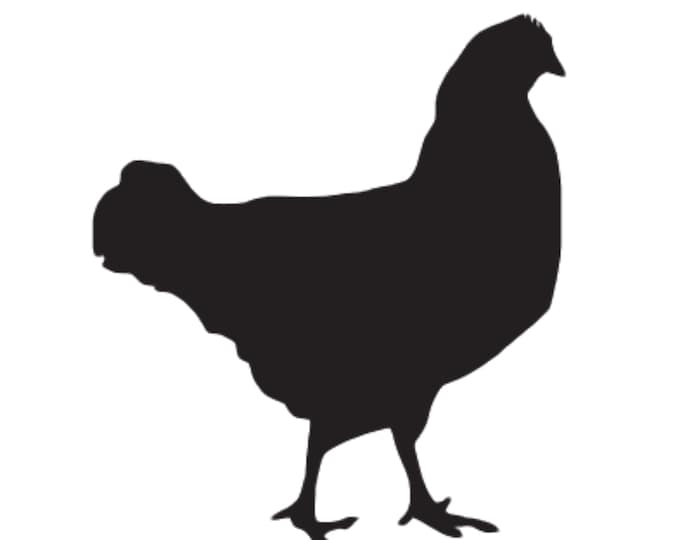 Pack of 3 Chicken Style 2 Stencils Made from 4 Ply Mat Board, 16x20, 11x14 and 8x10 -Package includes One of Each Size
