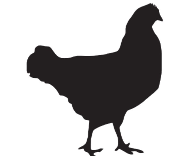 Pack of 3 Chicken Style 2 Stencils Made from 4 Ply Mat Board, 18x24, 16x20 and 11x14 -Package includes One of Each Size