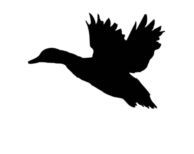 Pack of 3 Duck Flying Spread Wings Stencils Made from 4 Ply Mat Board 16x20, 11x14, 8x10 -Package includes One of Each Size