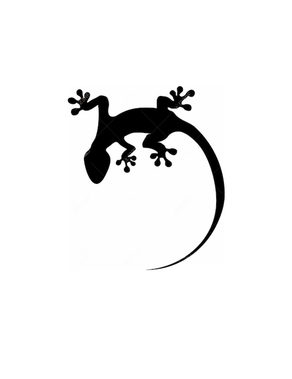 Pack Of 3 Lizard Stencils Made From 4 Ply Mat Board 11x14 Etsy