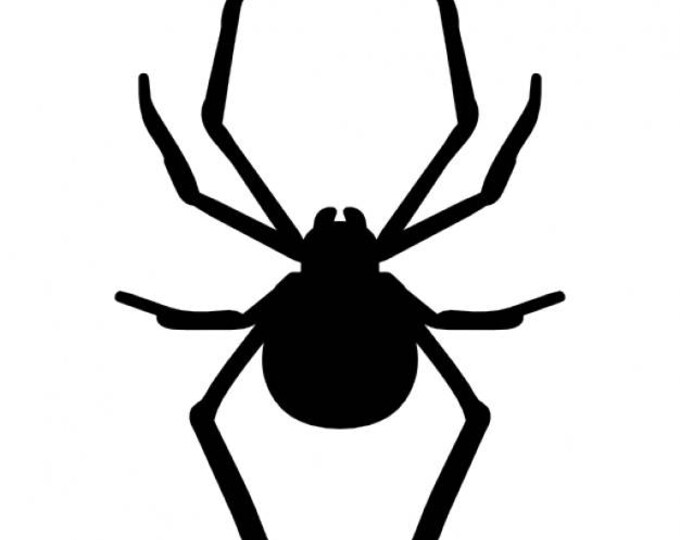 Pack of 3 Spider Stencils Made from 4 Ply Mat Board 16x20, 11x14, 8x10 -Package includes One of Each Size