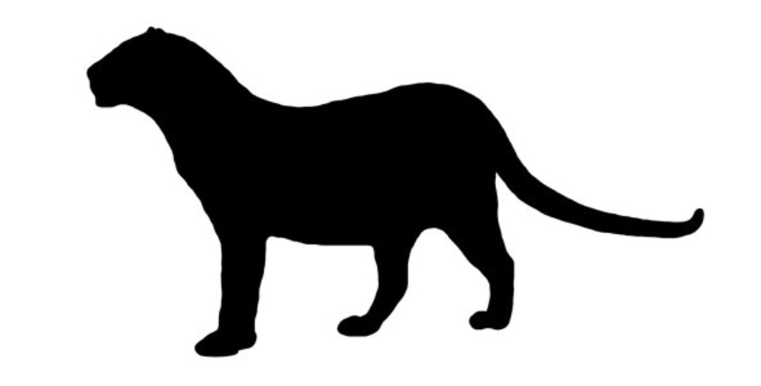 Pack of 3 Leopard Stencils Made From 4 Ply Mat Board 11x14 Etsy