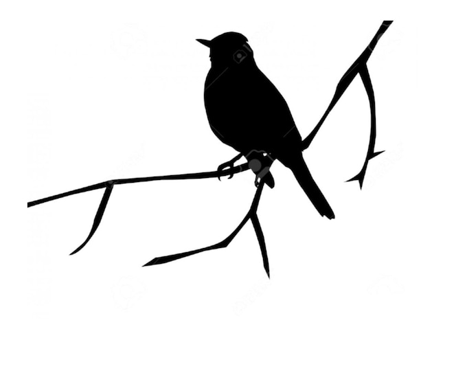 Bird on Branch Stencil Made from 4 Ply Mat Board-Choose a Size-From 5x7 to 24x36