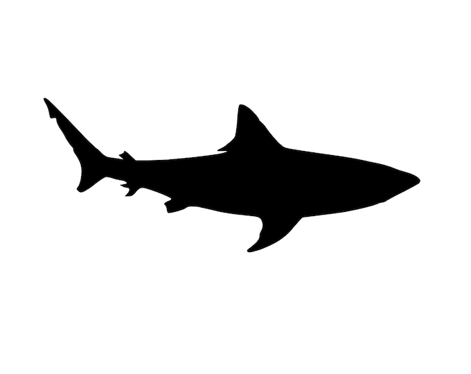 Shark Style 2 Stencil Made from 4 Ply Mat Board-Choose a Size-From 5x7 to 24x36