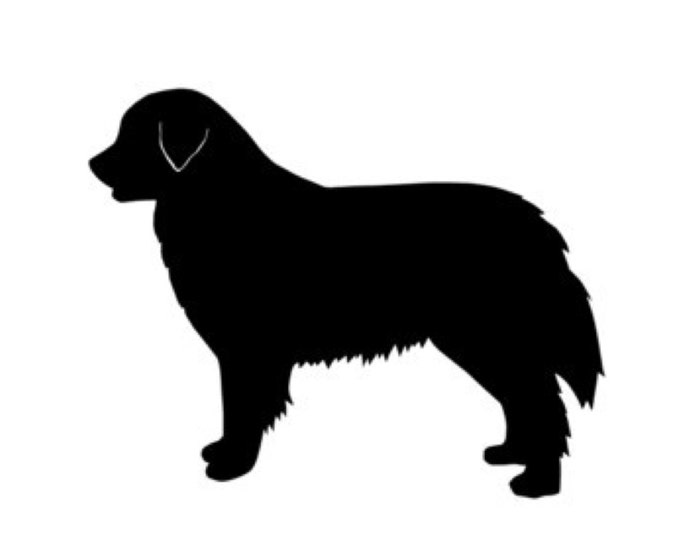 Burnese Mountain Dog Stencil Made from 4 Ply Mat Board-Choose a Size-From 5x7 to 24x36