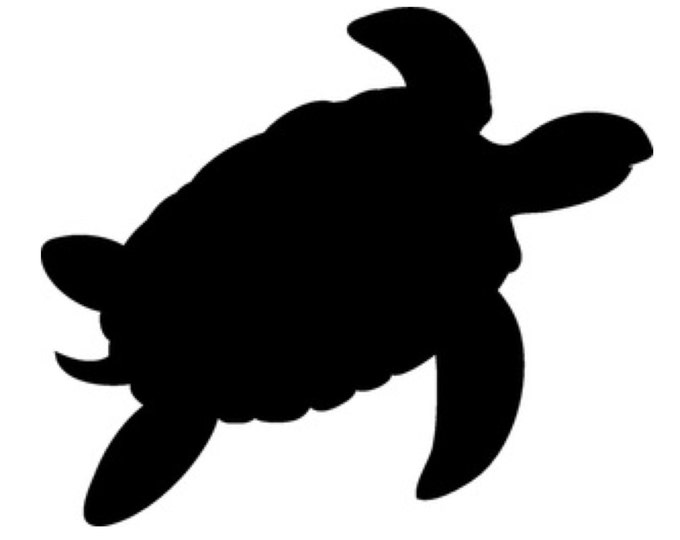 Pack of 3 Turtle Stencils Made from 4 Ply Mat Board, 11x14, 8x10 and 5x7 -Package includes One of Each Size