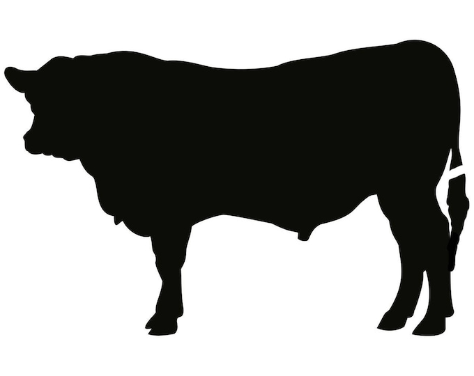 Bull Stencil Made from 4 Ply Mat Board-Choose a Size-From 5x7 to 24x36