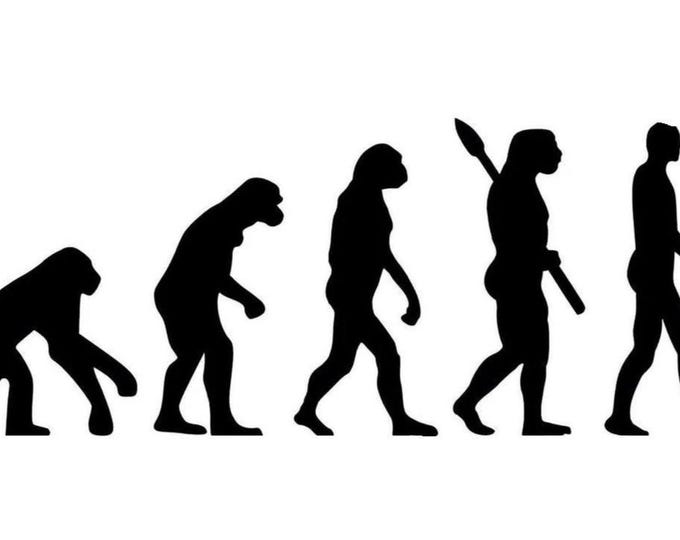 Pack of 3 Evolution Stencils Made From 4 Ply Mat Board 11x14, 8x10 and 5x7 -Package includes One of Each Size