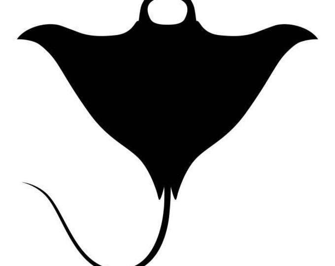 Pack of 3 Sting Ray Stencils, Made from 4 Ply Mat Board 16x20, 11x14 and 8x10 -Package includes One of Each Size
