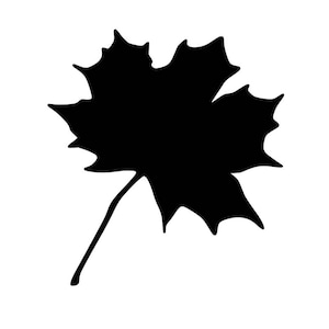 Pack of 3 Maple Leaf Stencils, 16x20, 11x14 and 8x10 -Package includes One of Each Size