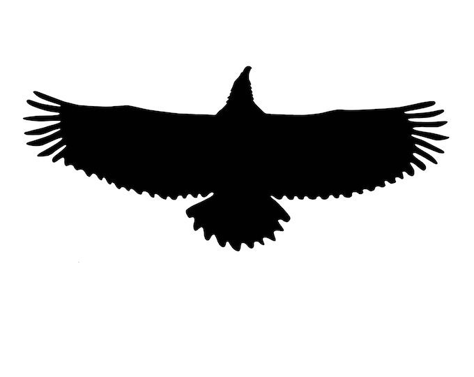 Pack of 3 Eagle Spread Wings Stencils Made from 4 Ply Mat Board 16x20, 11x14, 8x10 -Package includes One of Each Size