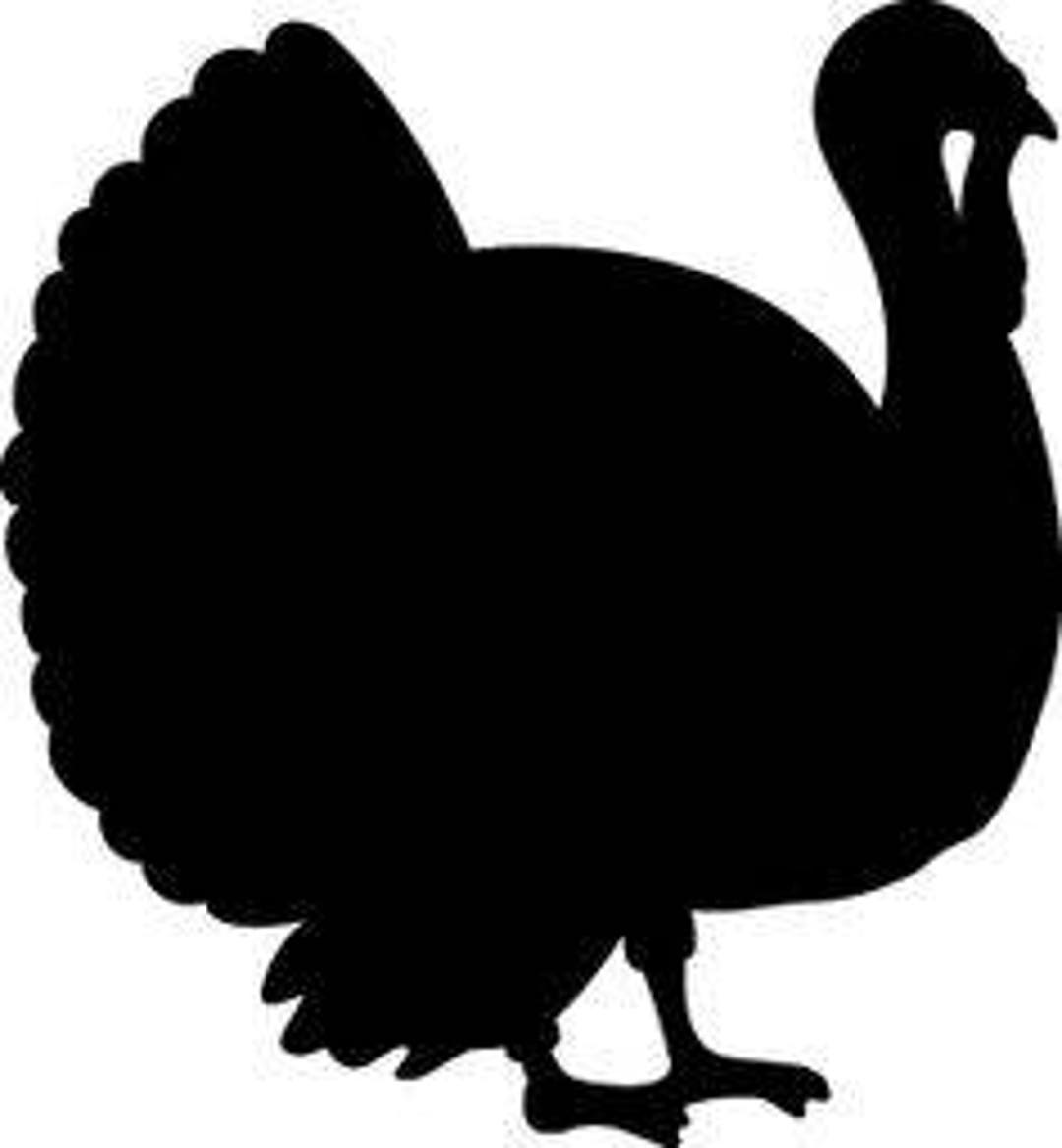 Pack of 3 Turkey Stencils, 16x20, 11x14 and 8x10 -package Includes One ...