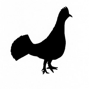 Pack of 3 Ruffed Grouse Style 2 Stencils Made from 4 Ply Mat Board, 11x14, 8x10 and 5x7 -Package includes One of Each Size