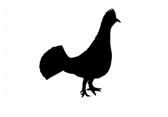 Pack Of 3 Ruffed Grouse Style 2 Stencils Made From 4 Ply Mat Etsy