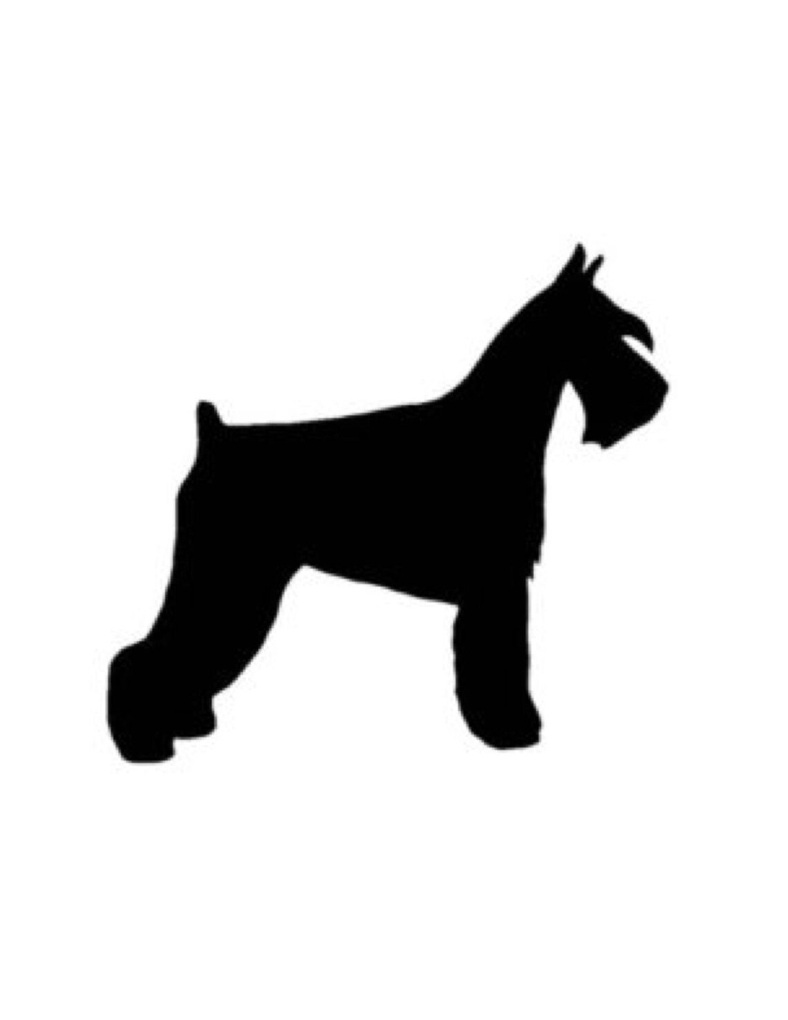 Pack of 3 Schnauzer Stencils Made From 4 Ply Mat Board 11x14 Etsy