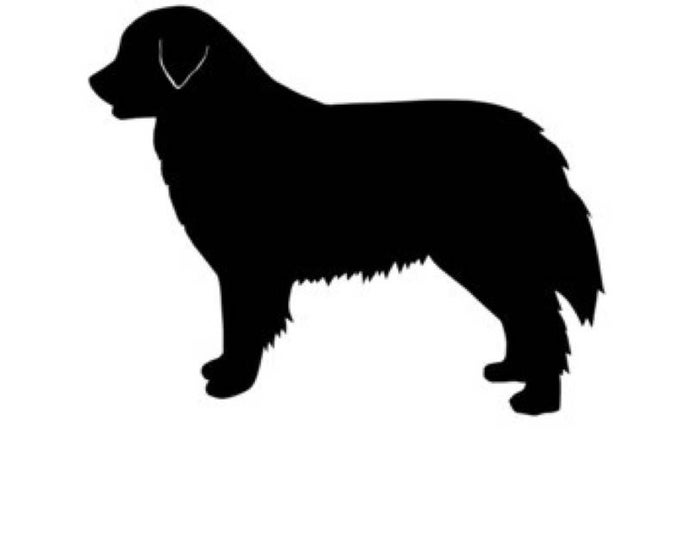 Pack of 3 Burnese Mountain Dog Stencils Made from 4 Ply Mat Board 16x20, 11x14, 8x10 -Package includes One of Each Size