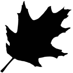 Pack of 3 Oak Leaf Stencils, 16x20, 11x14 and 8x10 -Package includes One of Each Size