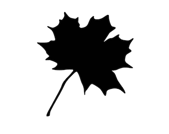 Maple Leaf Stencil Made from 4 Ply Mat Board