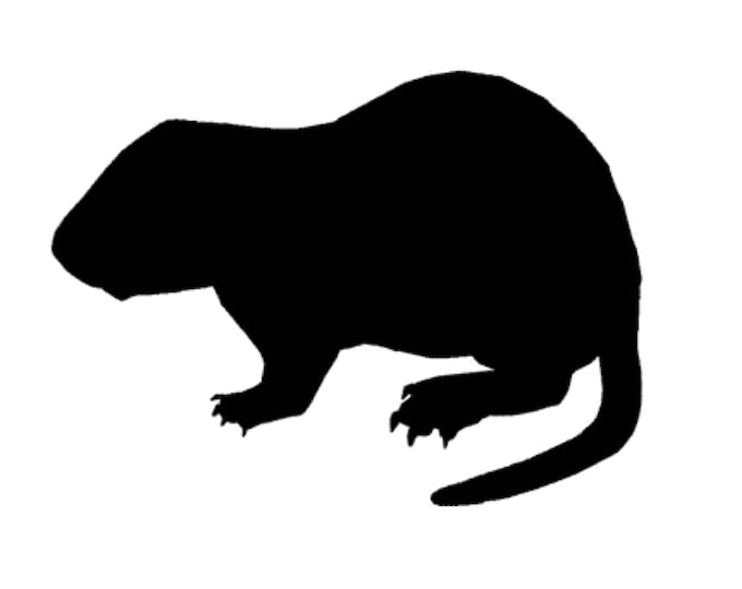 Woodchuck Groundhog Stencil Made from 4 Ply Mat Board-Choose a Size-From 5x7 to 24x36