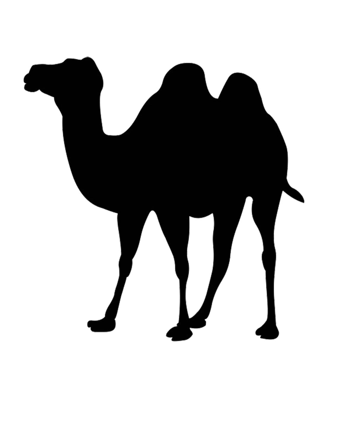 Pack of 3 Camel 2 Stencils Made From 4 Ply Mat Board, 11x14, 8x10 and