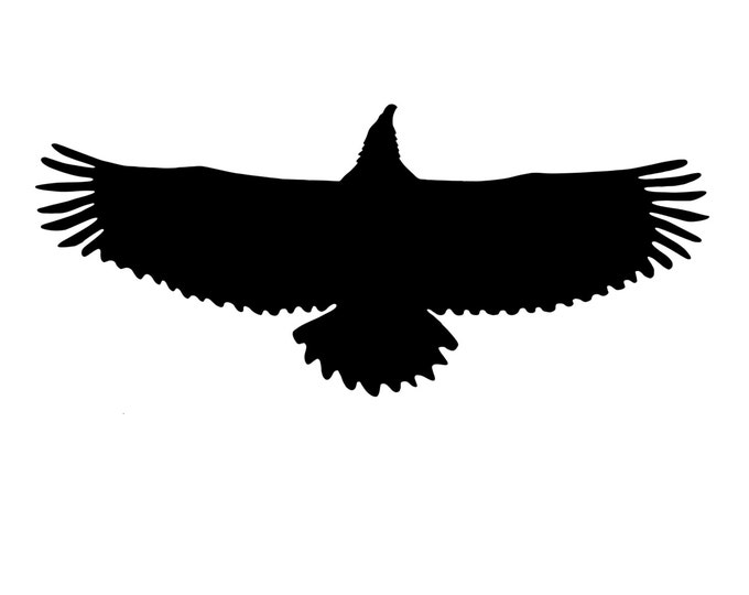Eagle Stencil Made from 4 Ply Mat Board-Choose a Size-From 5x7 to 24x36