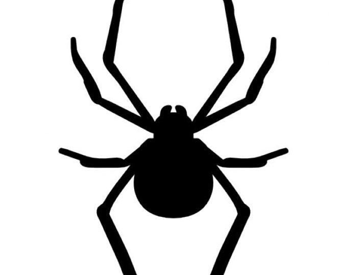 Spider Stencil Made from 4 Ply Mat Board-Choose a Size-From 5x7 to 24x36