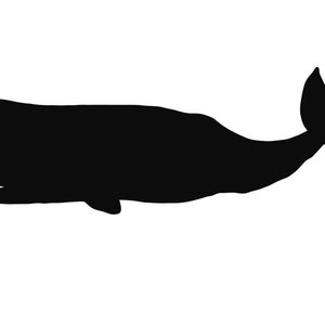 Whale Stencil Made from 4 Ply Mat Board-Choose a Size-From 5x7 to 24x36
