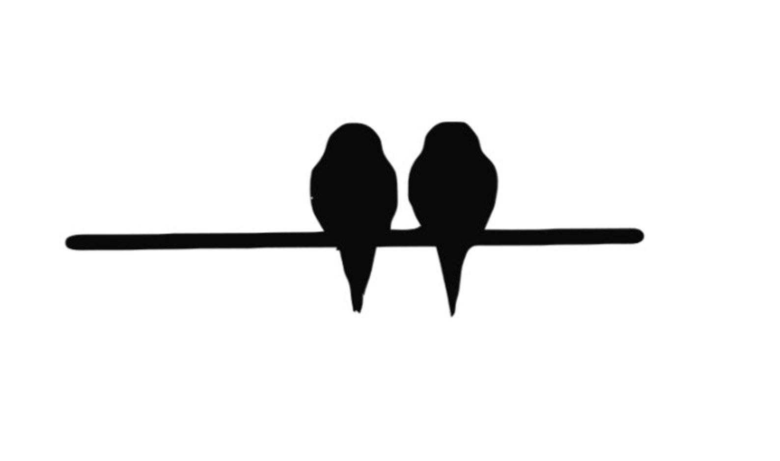 Трафарет птицы смешные. Трафарет птицы с подтеками. Two Birds on a wire. Трафарет два весла. Песня two birds on a wire