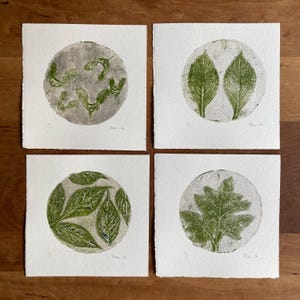 Op de afbeelding: Vier vierkante afdrukken op wit papier met cirkelvormige botanische motieven in groene inkt. Elke afdruk toont gedetailleerde blad- of zaadstructuren binnen de cirkel, met de tekst 1/1 en Mo-16 of Mo-14 in potlood onderaan.