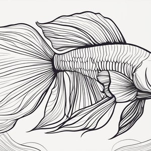 Set of 4 Betta Fish Coloring Pages