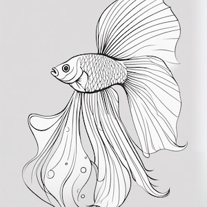 Set of 4 Betta Fish Coloring Pages