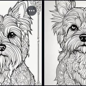 Set of 4 Yorkshire Terrier Coloring Pages