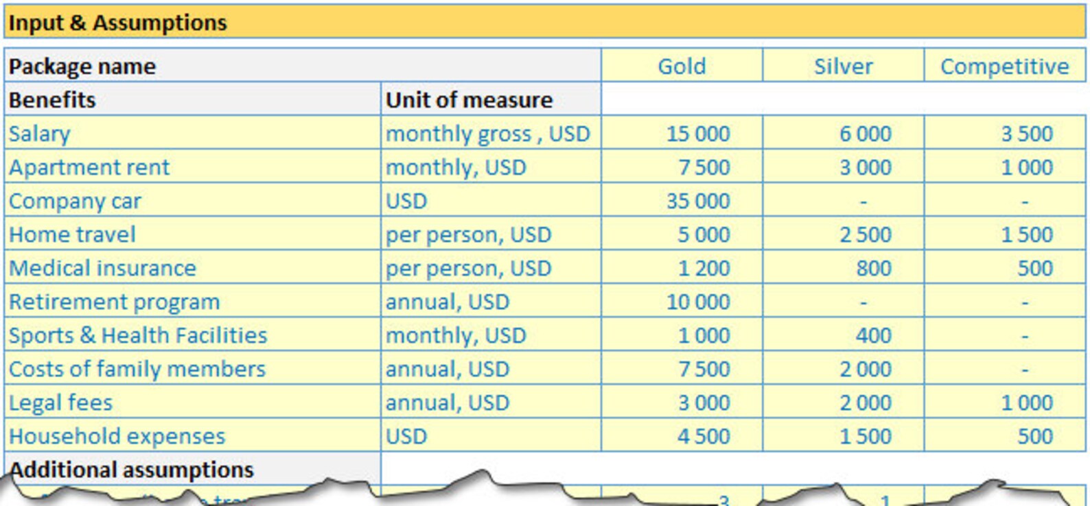 Employee Benefits Package Analysis Template Etsy