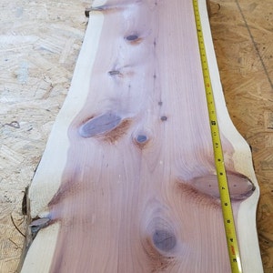 3' Live Edge Slabs image 4