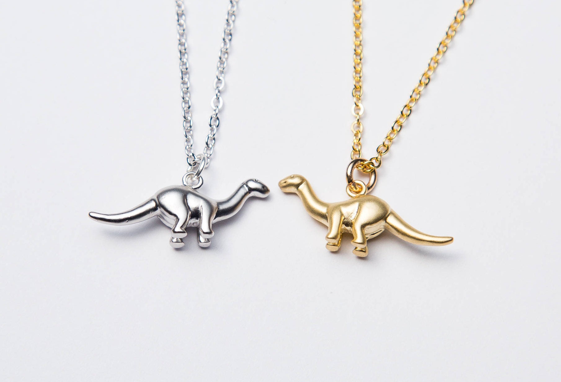 Triceratops Dino Charm Necklace - Home