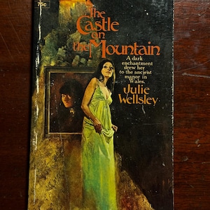 The Castle on the Mountain Julie Wellsley 1972 1970s Gothic Horror Vintage Mass Market Paperback Book