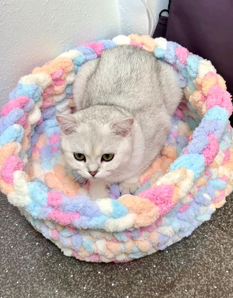 Puede incluir: Un gato plateado descansa en una cama para gatos de punto grueso en colores pastel. La cama es una mezcla de hilo rosa, azul y melocot&oacute;n, creando un espacio suave y acogedor. El pelaje del gato contrasta con los colores de la cama.