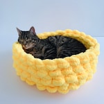 Pet Beds