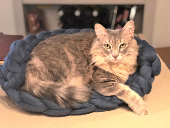chunky cat bed