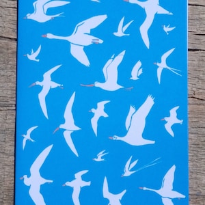 Bird greetings card, Heavens above, Bird card, White birds, Flight, Goose, Birds, Flying, Illustration, Watercolour, Painting, Sky, Blue sky