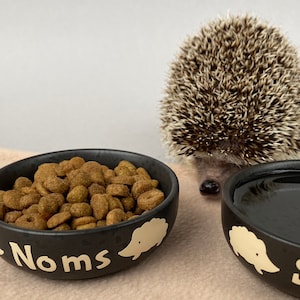 Ceramic hedgehog food and water bowls. Noms and slurp bowls.