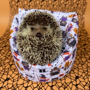 Halloween animals mini bean bag photo prop