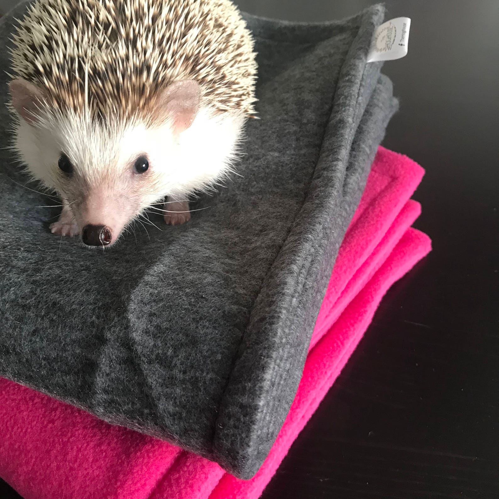 DOUBLE Fleece Cage Liner for Hedgehogs Rats Guinea Pigs Etsy