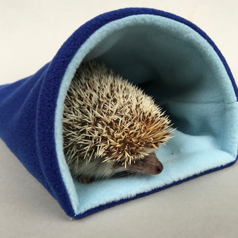 May include: A blue and light blue fleece hedgehog hideaway. The hedgehog is curled up inside the hideaway.